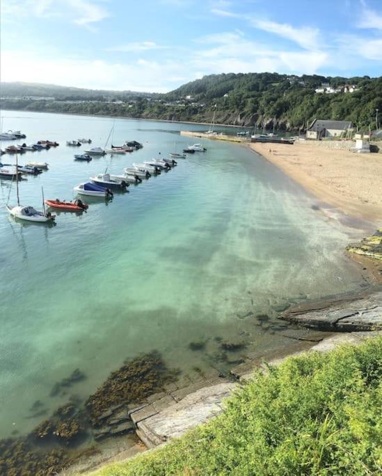 Awelfryn Villa New Quay  Dış mekan fotoğraf